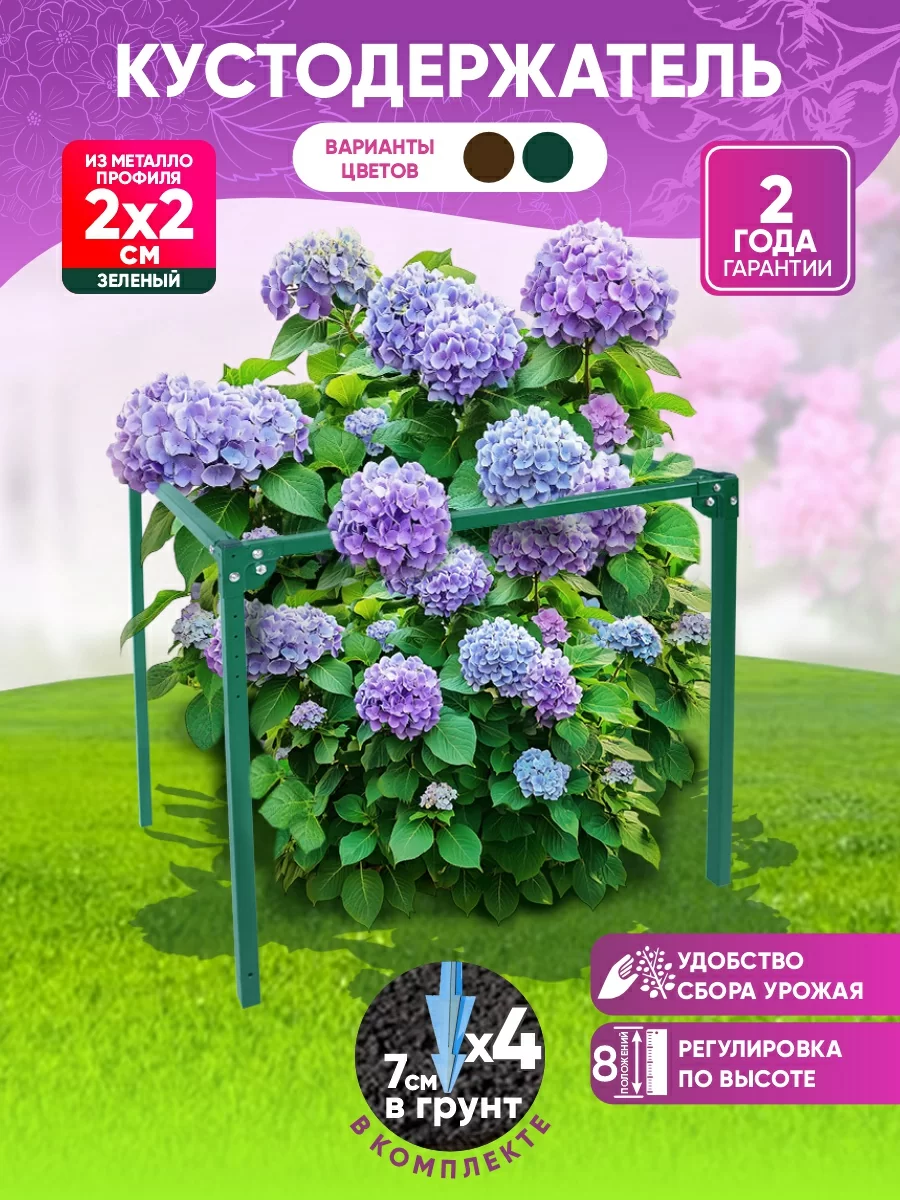 Кустодержатель