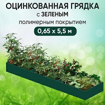 Грядка зеленая (0,65 х 5,5)