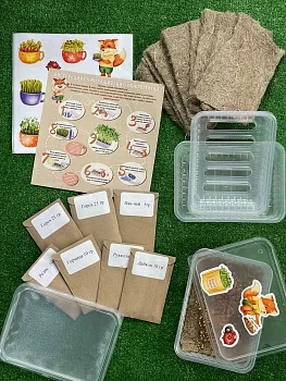 Набор для выращивания микрозелени