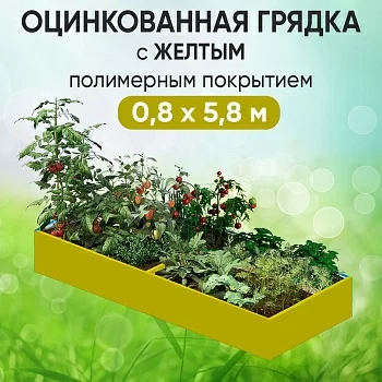 Грядка желтая (0,8 х 5,8)