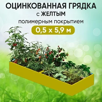 Грядка желтая (0,5 х 5,9)