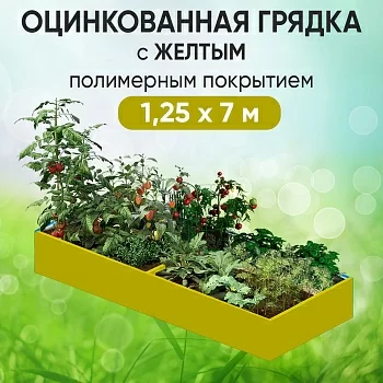 Грядка желтая (1,25 х 7)